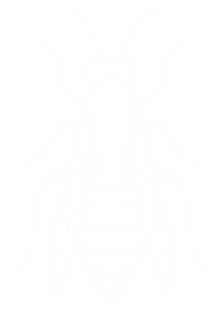 wasp pest control in ventura