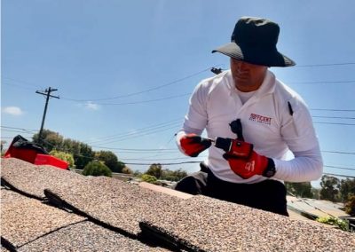 bird control services in oxnard, ca