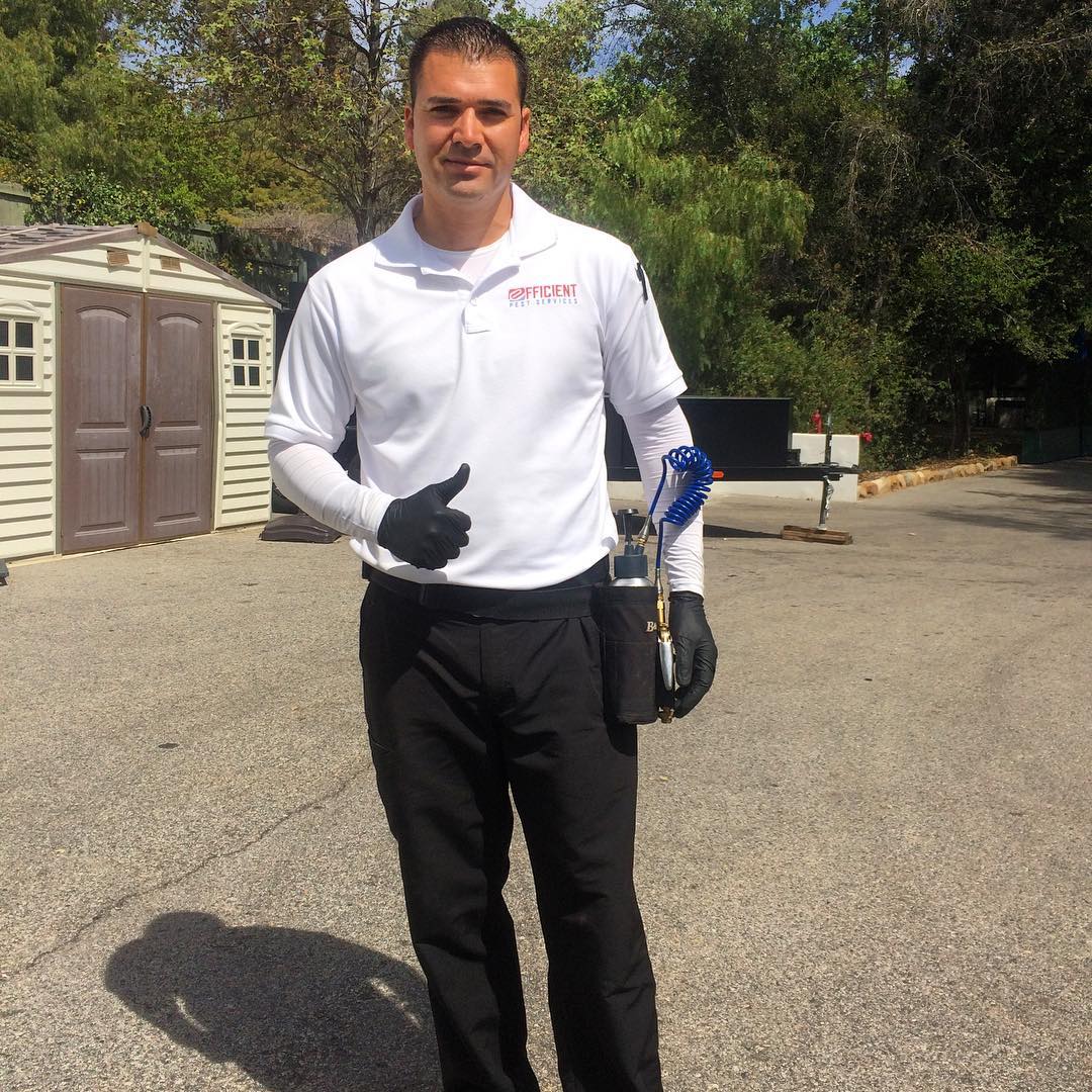 jesse moreno, specialist in pest control in oxnard, ca
