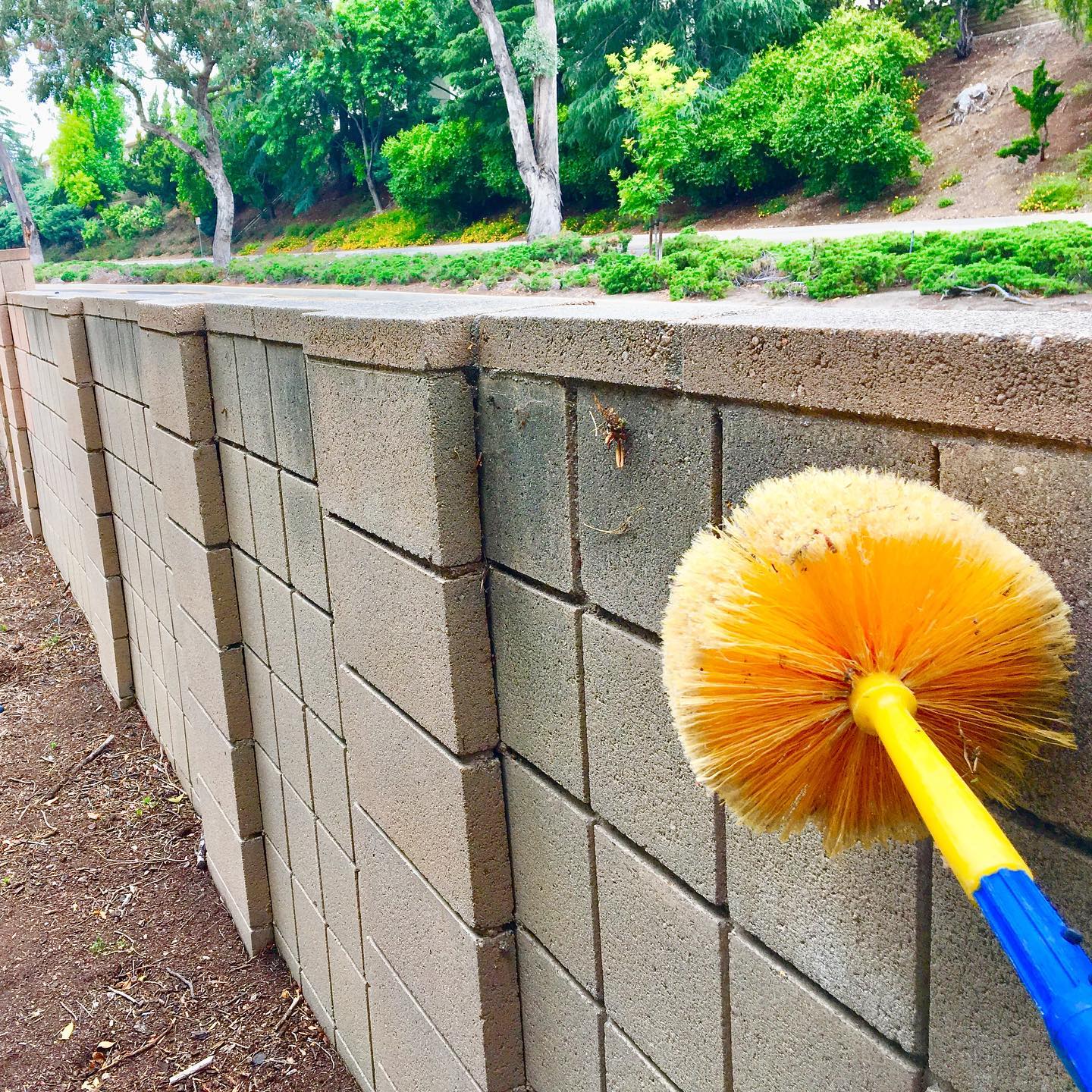 spider web removal in oxnard, ca