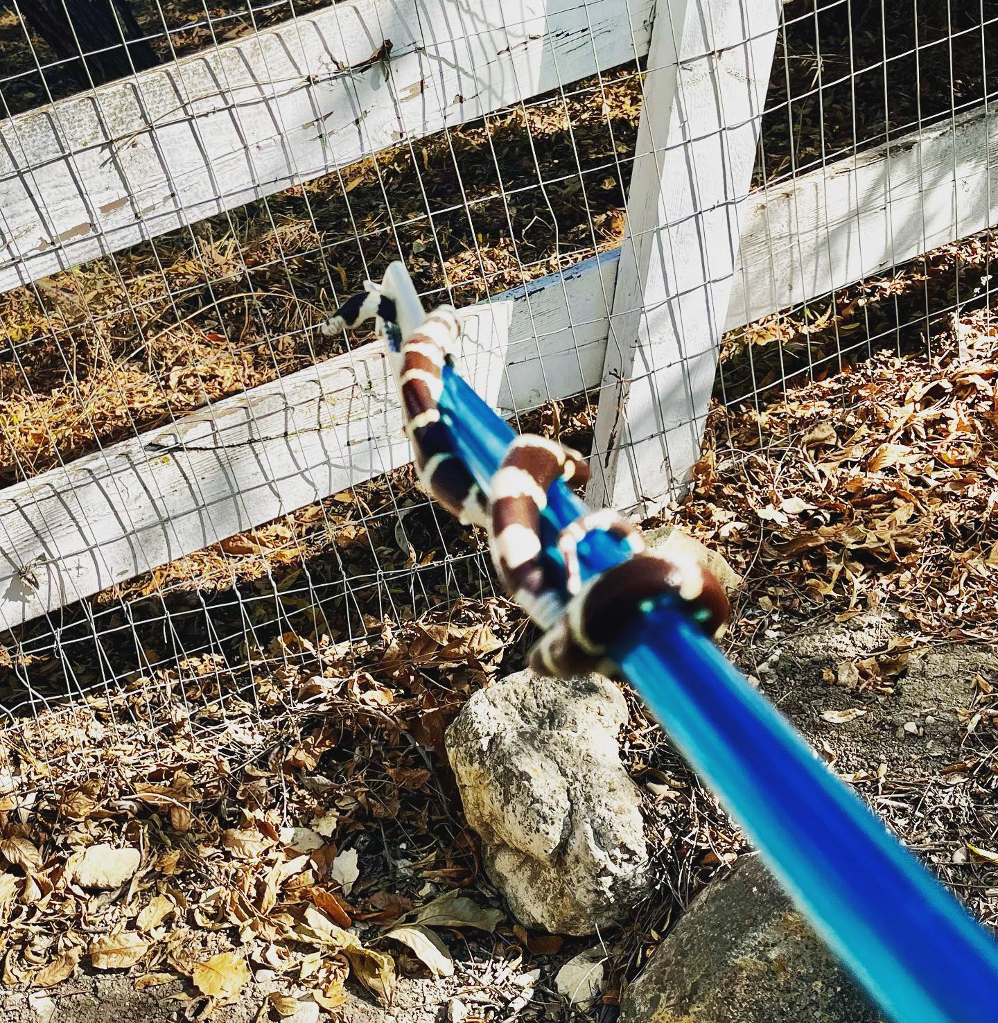 Oxnard Snake Pest Control technician safely inspecting a residential property's perimeter for entry points.